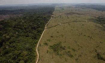 Deforestation in Brazil’s Para state. Andre Penner/AP