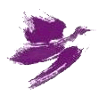Northern Spirit Dove