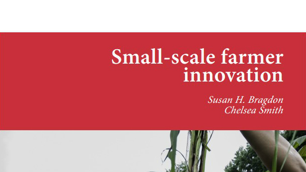 SSF Innovation