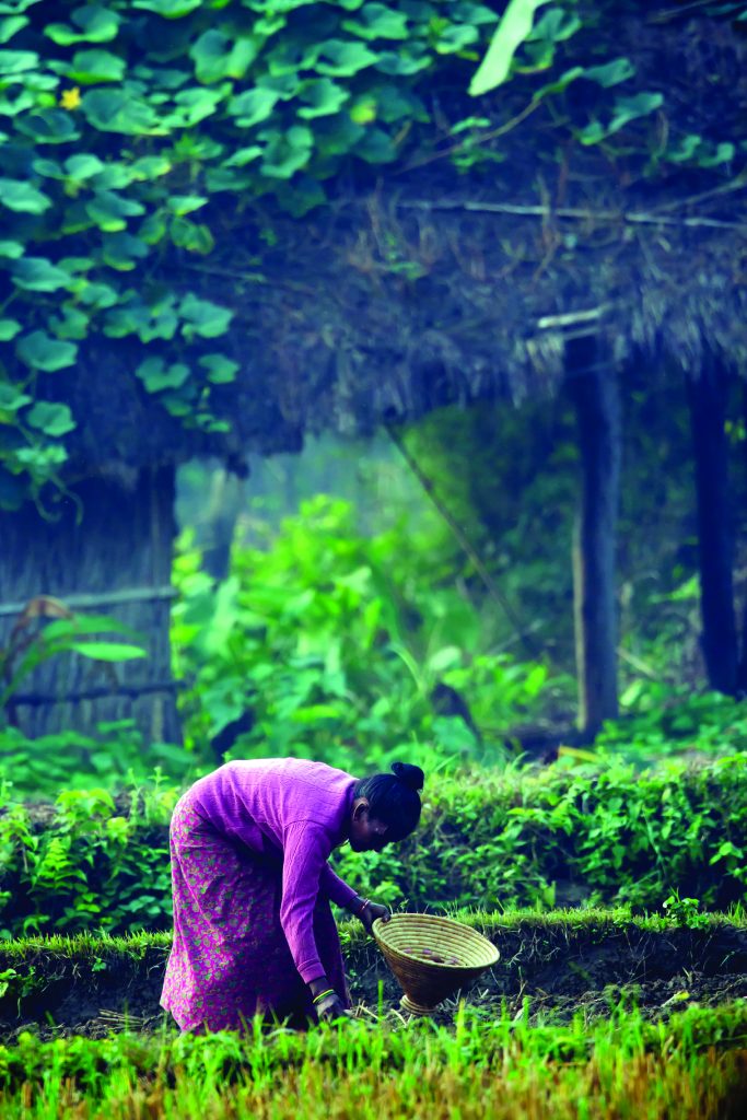 Food_Sustainability_needs crop