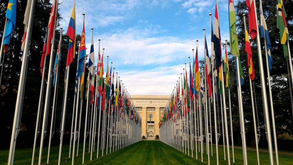 UN flags