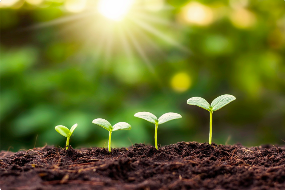 Earth Day, Earth Care: Over a decade of QUNO’s publications